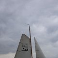 IMG_1249977
