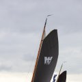 IMG_1250146