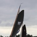 IMG_1250147