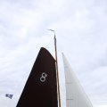 IMG_1250239
