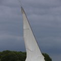 IMG_1250337