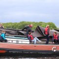 IMG_1250338