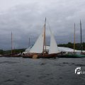 IMG_1250352