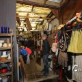 IMG_1250501