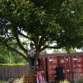 IMG_1251176