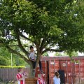 IMG_1251177