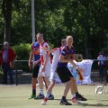 IMG_1251204
