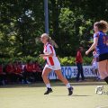 IMG_1251246