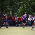IMG_1251312