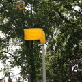 IMG_1251907