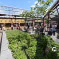 IMG_1250873