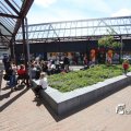 IMG_1250940
