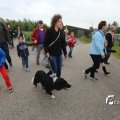 IMG_1254267