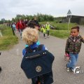 IMG_1254337