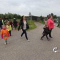 IMG_1254373