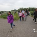 IMG_1254464