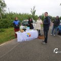 IMG_1254611