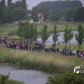 IMG_1254646