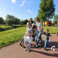 IMG_1254819