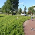 IMG_1255319