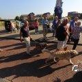 IMG_1256356