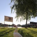 IMG_1256806