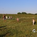 IMG_1256814
