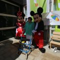 IMG_1258155