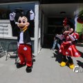 IMG_1258306