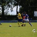 IMG_1258909