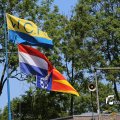 IMG_1258934