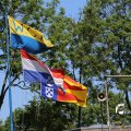 IMG_1258935