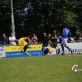 IMG_1259237