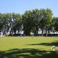 IMG_1259364