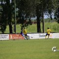 IMG_1259469