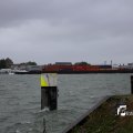 IMG_1278193