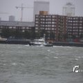 IMG_1278223