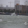 IMG_1278225