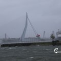 IMG_1278339