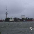 IMG_1278358