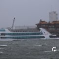 IMG_1278369