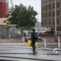 IMG_1278454