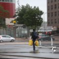 IMG_1278455