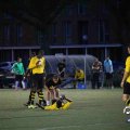 IMG_1280617