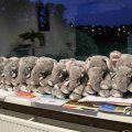 IMG_1280635
