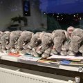IMG_1280637