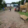 IMG_1281146