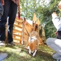 IMG_1281244
