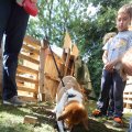 IMG_1281248
