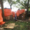 IMG_1281508